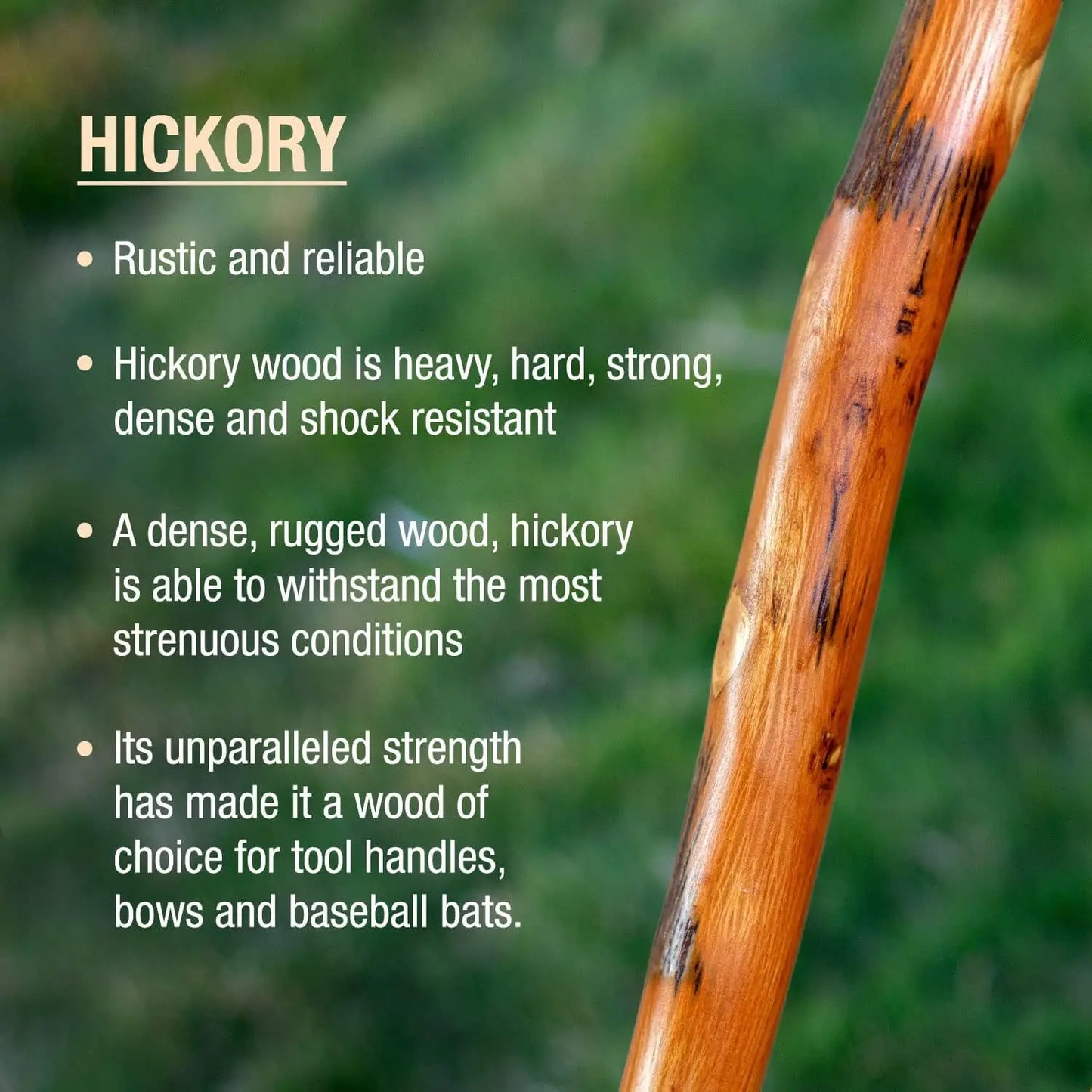 Rustic Wood Walking Stick