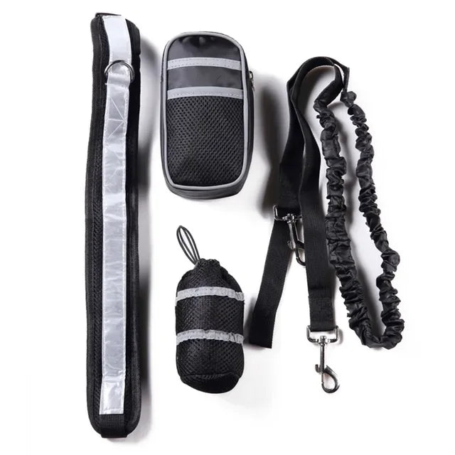 Reflective Dog Leash and Collar Set for Training & Walking