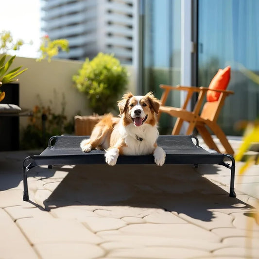 Cooling Elevated Outdoor Dog Bed with Guardrail