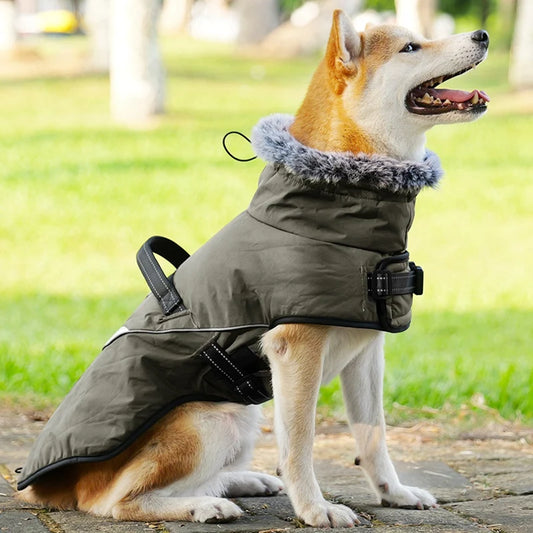 Winter Dog Jacket with Harness Waterproof Warm Coat for Small & Large Dogs