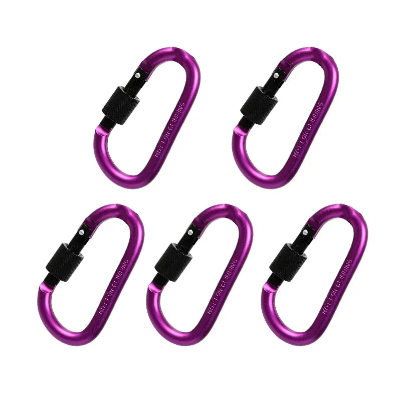 5PCS Aluminum Carabiner Clip Set for Camping, Hiking, and Keychains