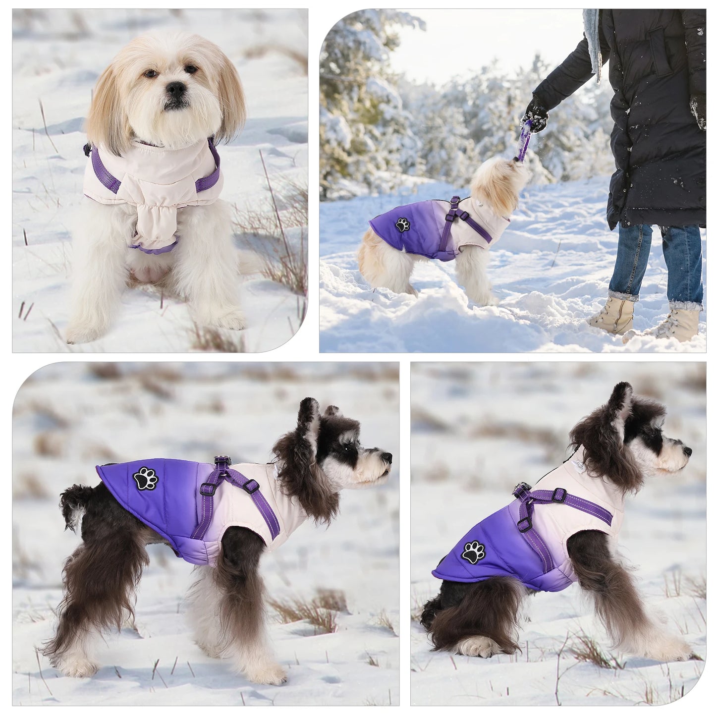 Reflective Winter Dog Jacket with Built-In Harness