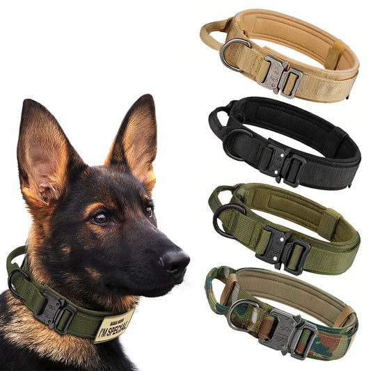 Adjustable Dog Training Collar and Leash Set with Control Handle