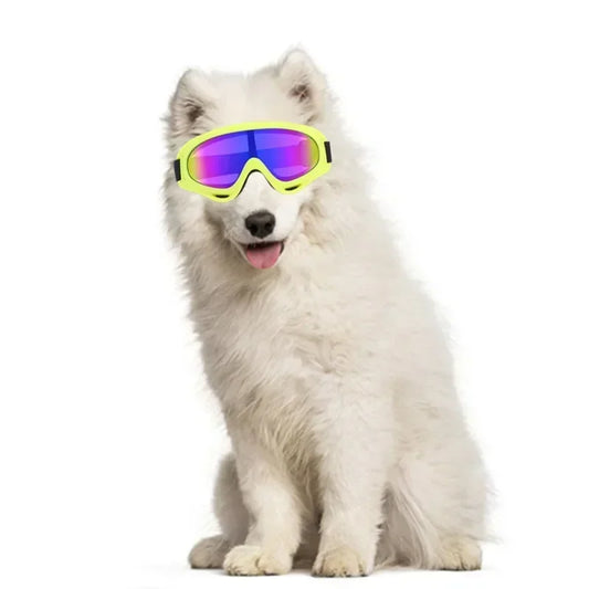 Large Dog Goggles UV Wind and Snow Protection Sunglasses for Outdoor Use