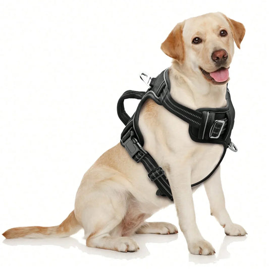 No Pull Dog Harness