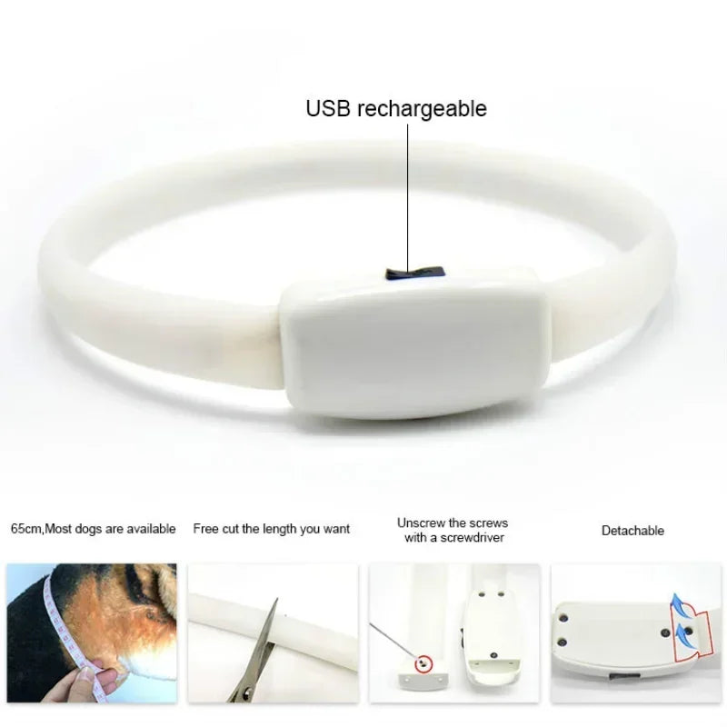 USB Rechargeable LED Dog Collar with Flashing Safety Lights