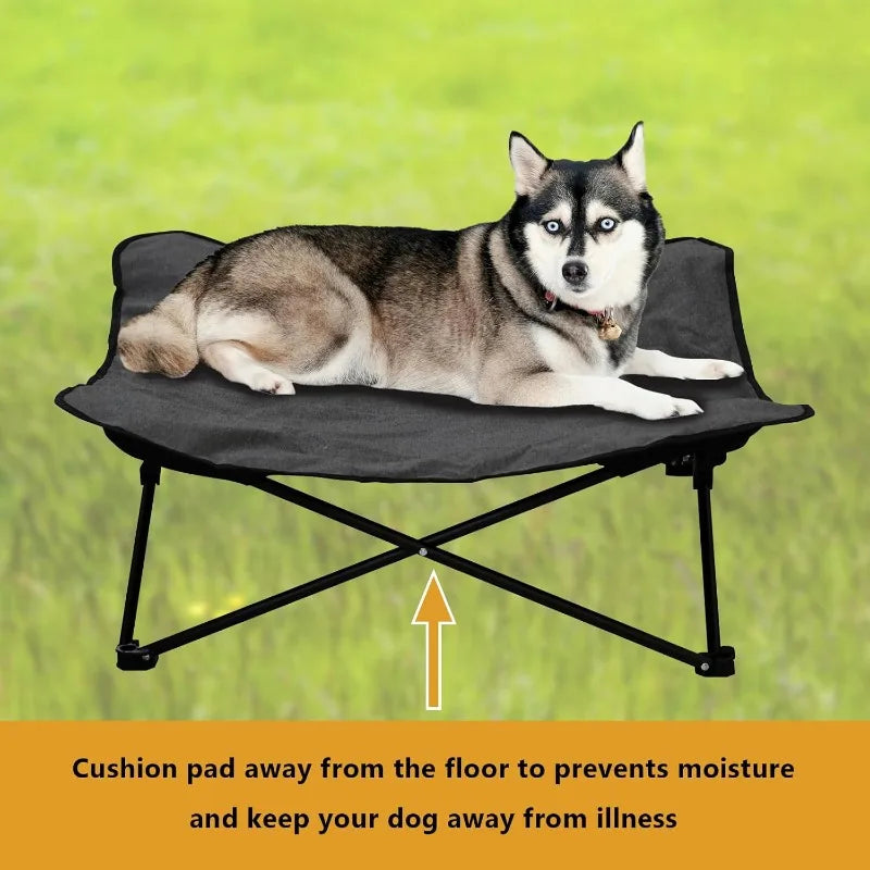 Elevated Portable Dog Cot with Padded Bed and Carry Bag