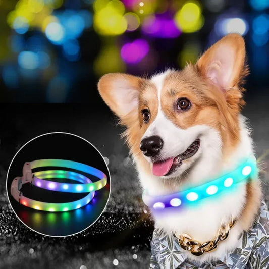 USB Rechargeable LED Dog Collar with Flashing Safety Lights