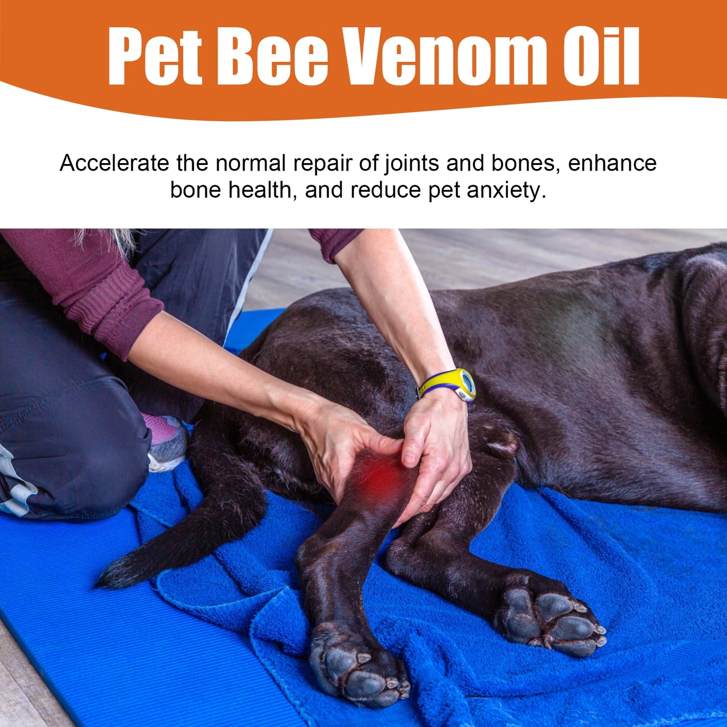 Pet Joint Care Bee Venom Water for Dogs and Cats