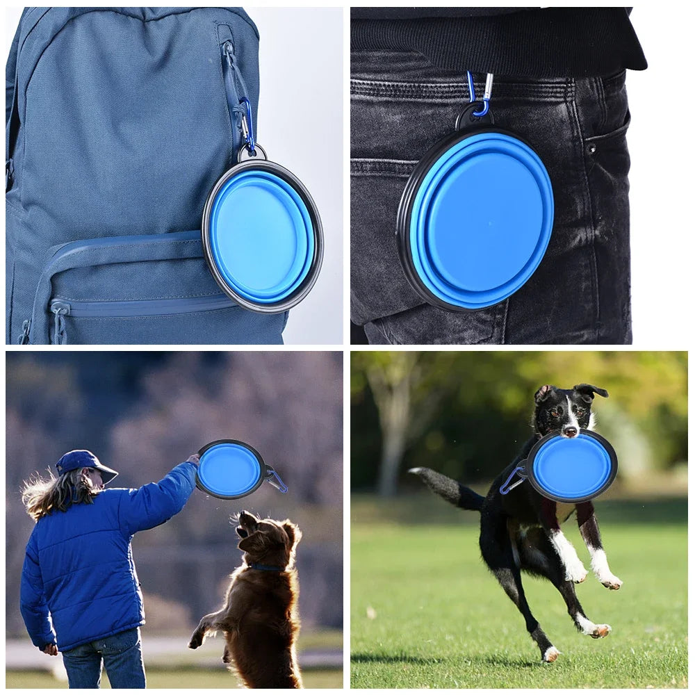 Collapsible Silicone Pet Bowl with Carabiner for Travel & Camping