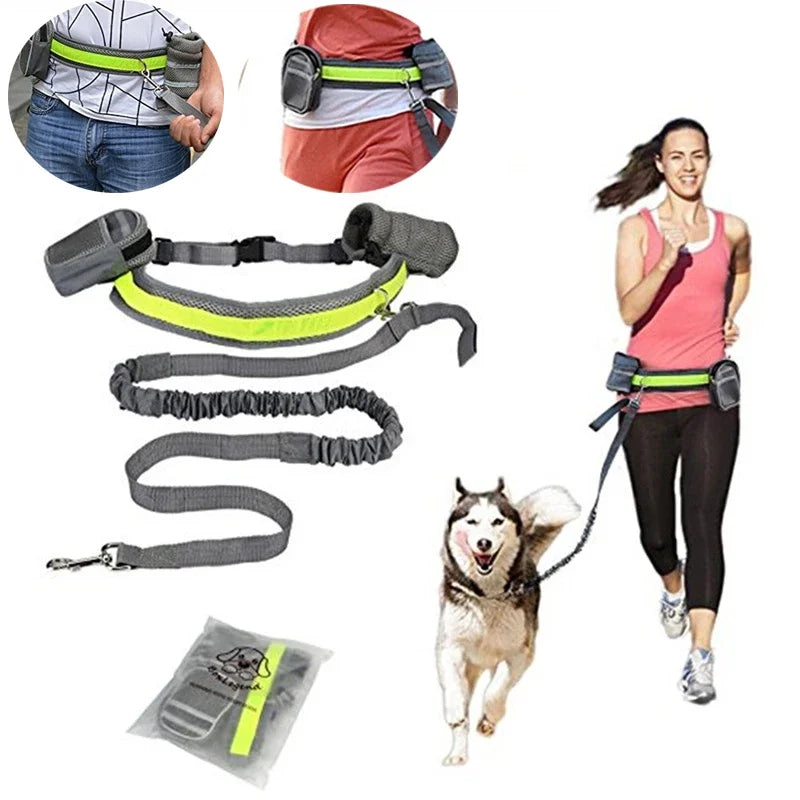 Reflective Dog Leash and Collar Set for Training & Walking