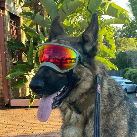 Dog Goggles Adjustable UV Protection for Travel