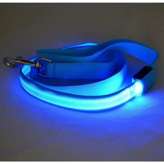 LED Glowing Dog Leash and Collar Set for Night Safety