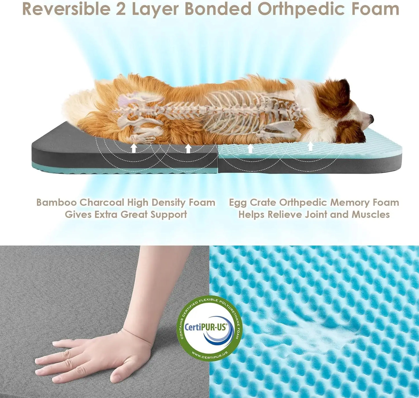 Foldable Orthopedic Memory Foam Human/Dog Bed