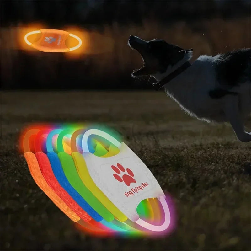 LED Glowing Dog Flying Disc with 3 Light Modes