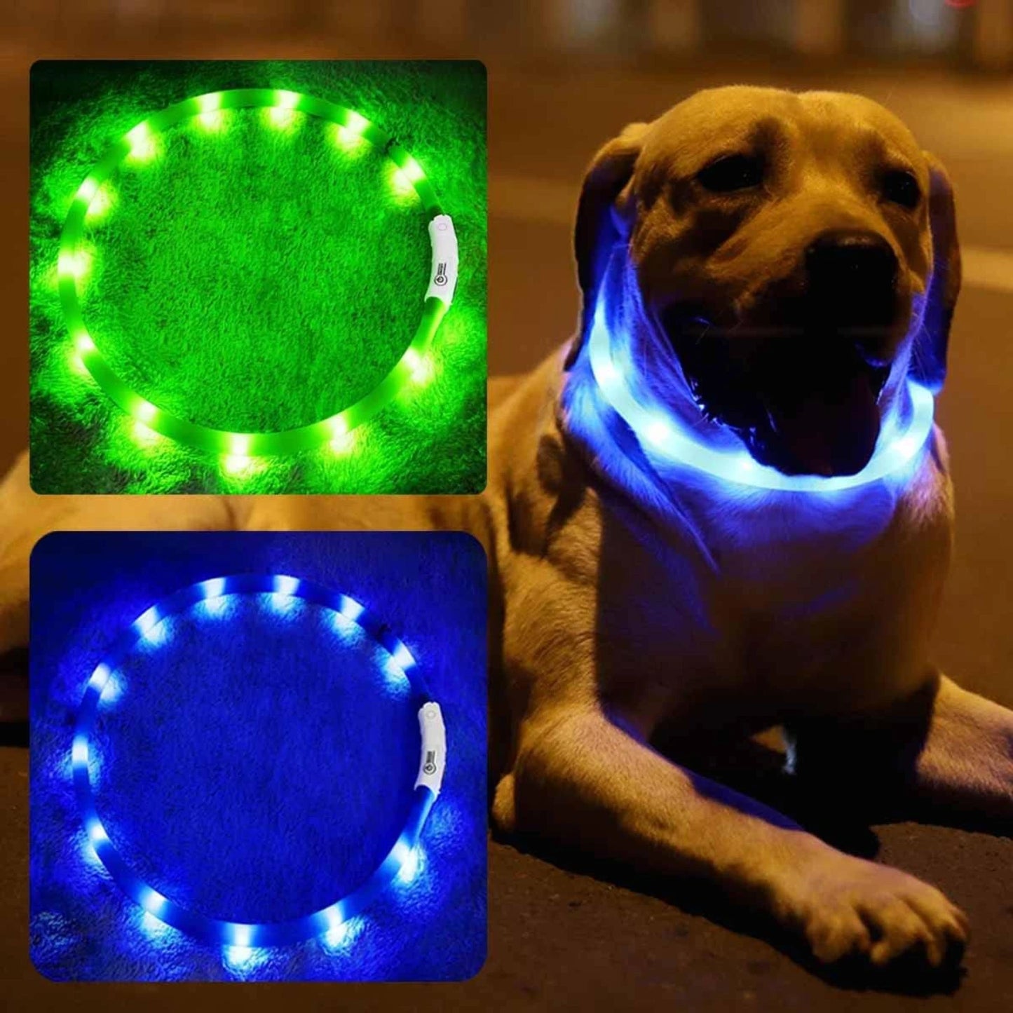 USB Rechargeable LED Dog Collar with 3 Light Modes