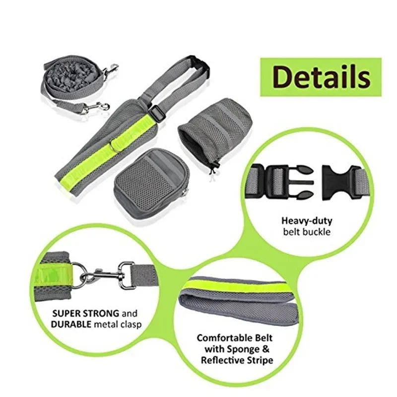 Reflective Dog Leash and Collar Set for Training & Walking