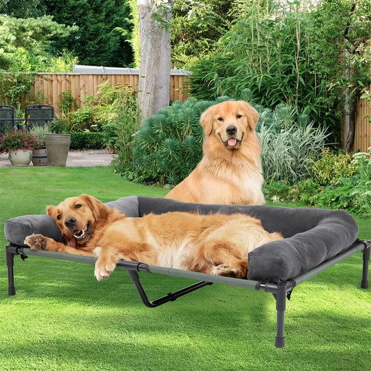 Outdoor Elevated Dog Bed with Mesh Cot and Detachable Plush Bolster