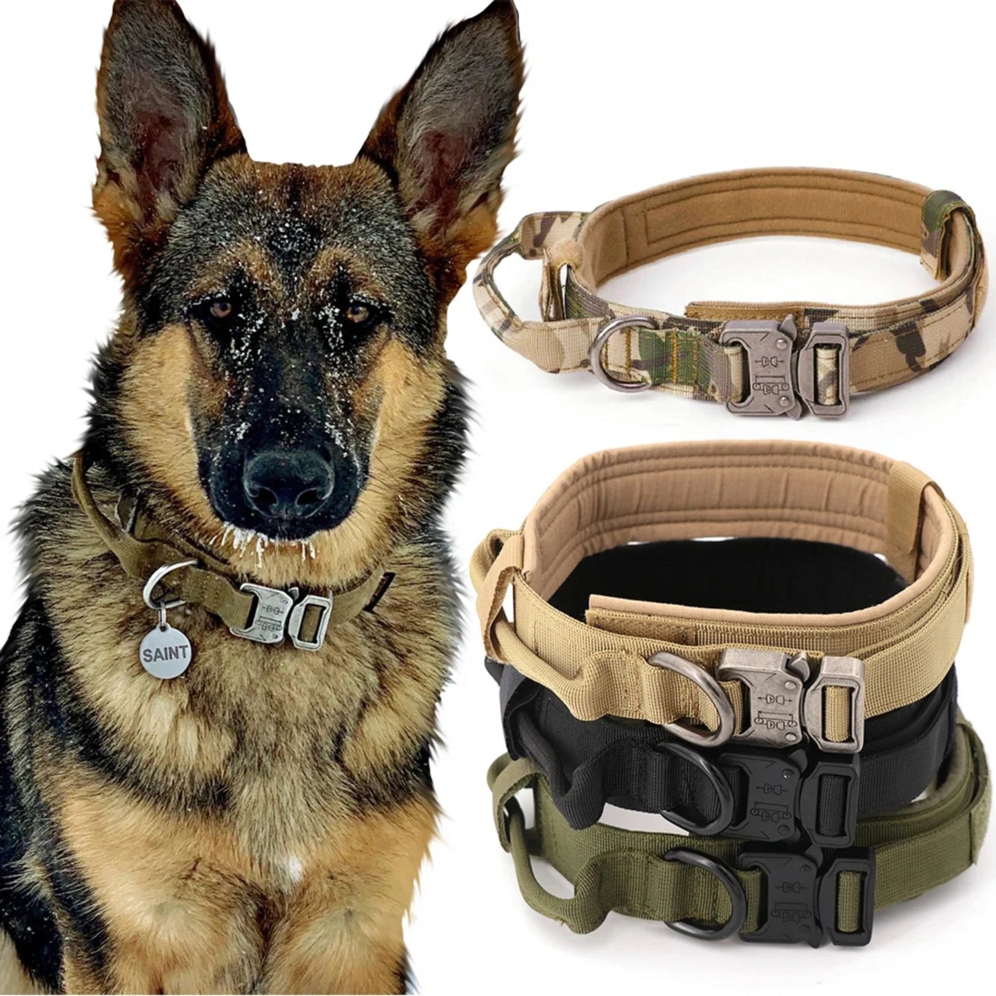 Adjustable Military Dog Training Collar and Leash Set