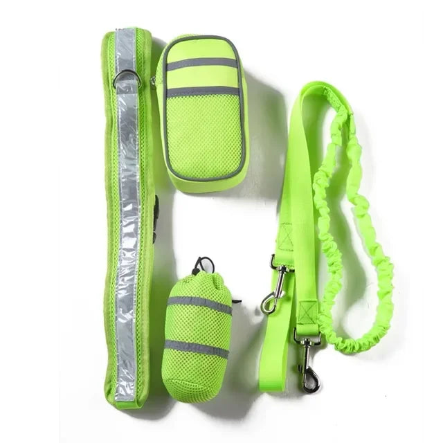 Reflective Dog Leash and Collar Set for Training & Walking