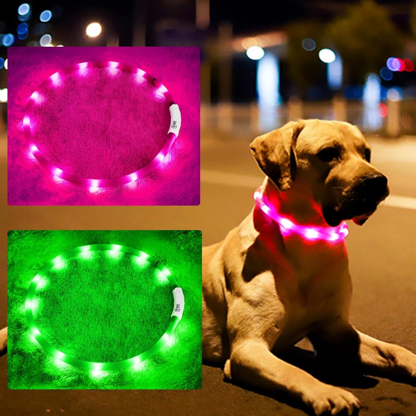 USB Rechargeable LED Dog Collar with 3 Light Modes