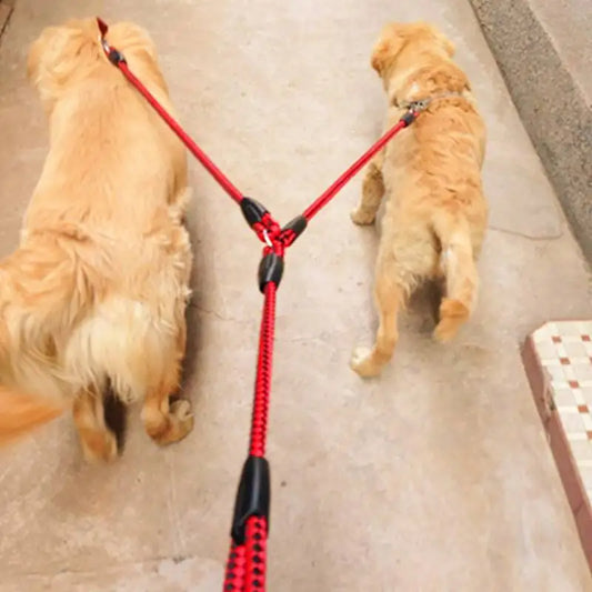 Tangle-Free Dual Dog Leash with 360° Rotation