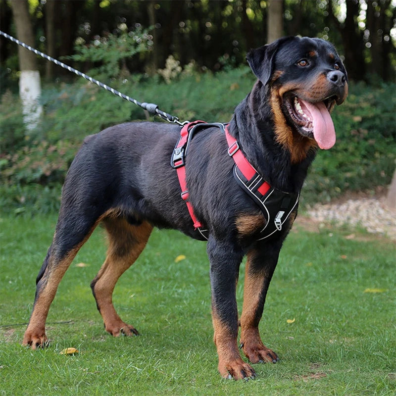 Reflective Waterproof Dog Harness for Medium and Large Dogs