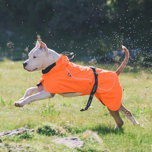 Waterproof Dog Coat - Warm Adjustable Drawstring Vest for Pets (Orange, Size L)