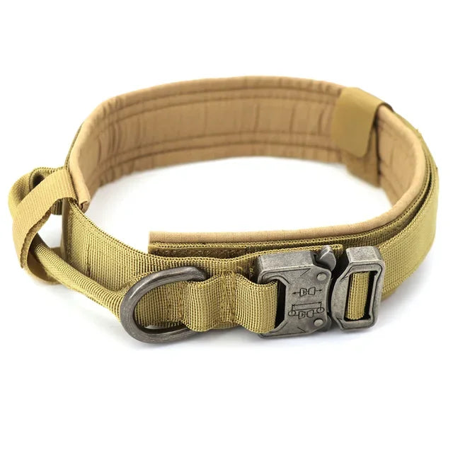 Adjustable Military Dog Training Collar and Leash Set