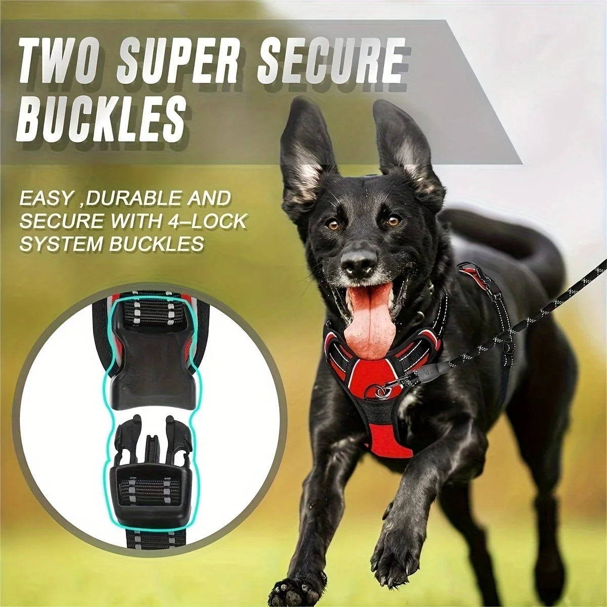 3-Piece Escape-Proof Dog Harness Set with Leash