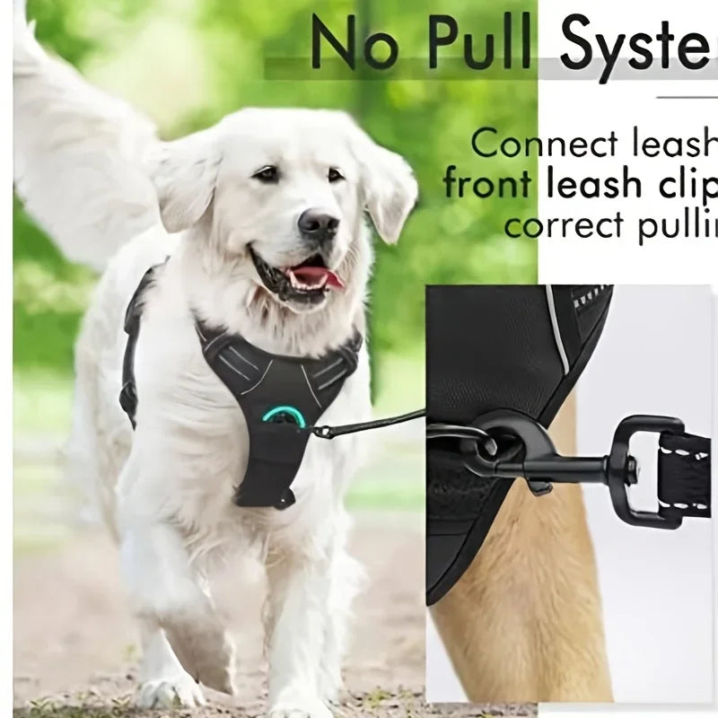 Adjustable No Pull Dog Harness with Muzzle