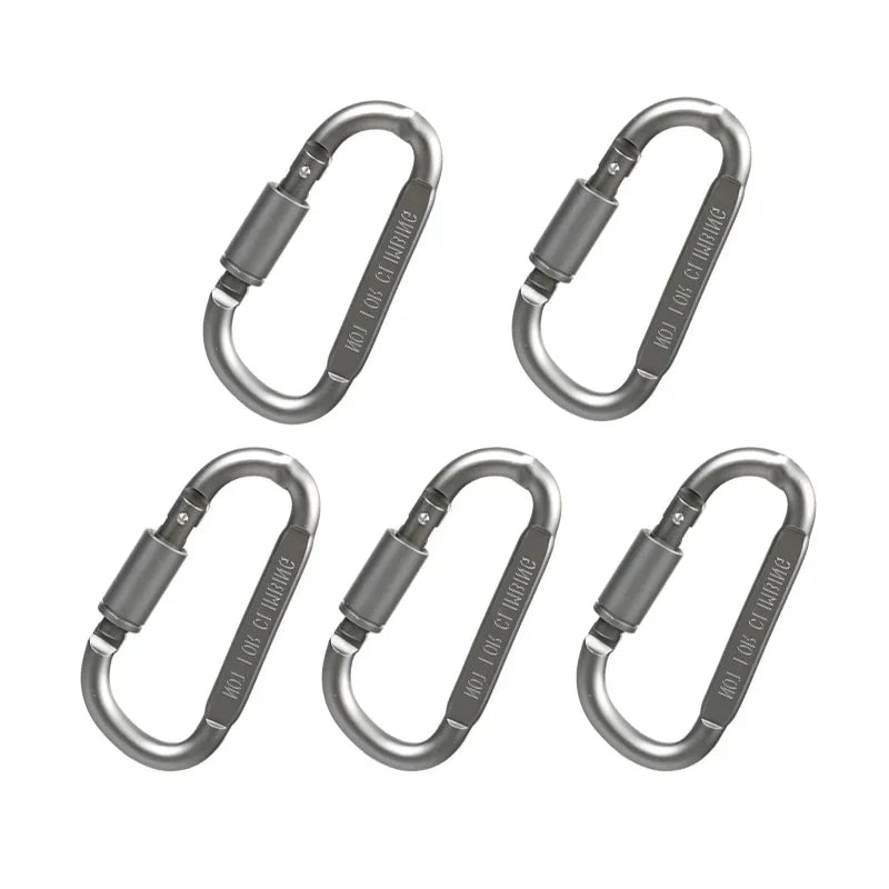 5PCS Aluminum Carabiner Clip Set for Camping, Hiking, and Keychains