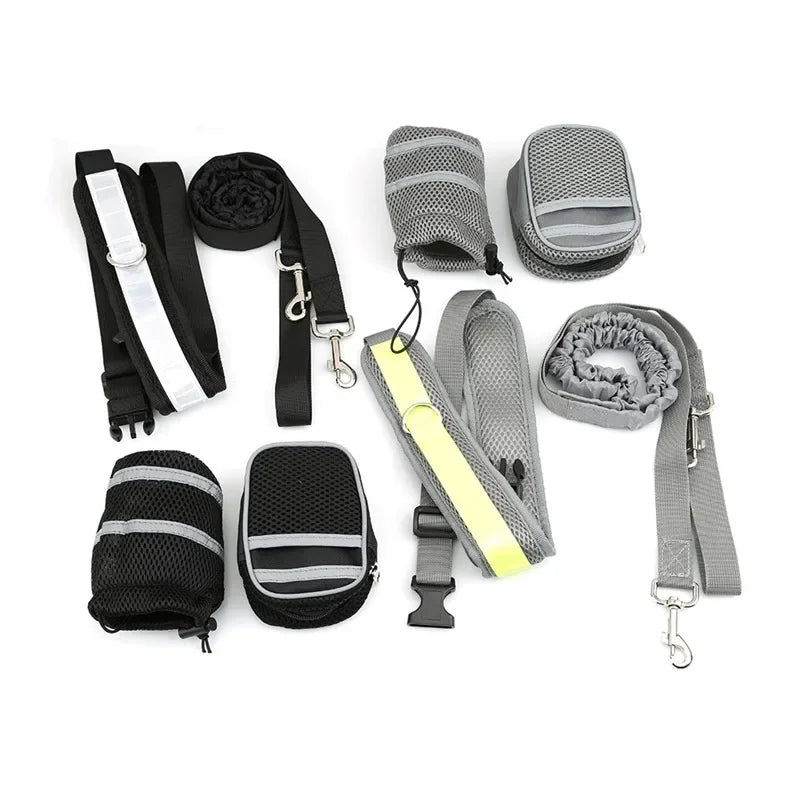 Reflective Dog Leash and Collar Set for Training & Walking