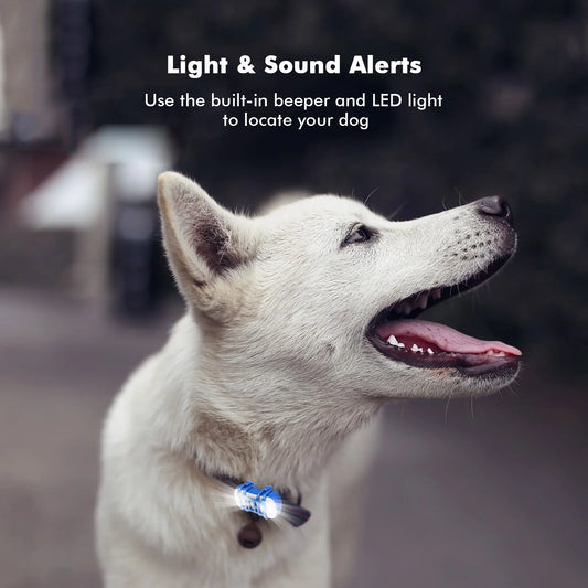 Waterproof 4G Pet GPS Tracker with Sound and Light