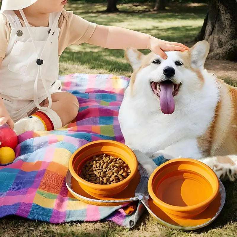 Foldable Non Slip Travel Dog Bowl for Food and Water
