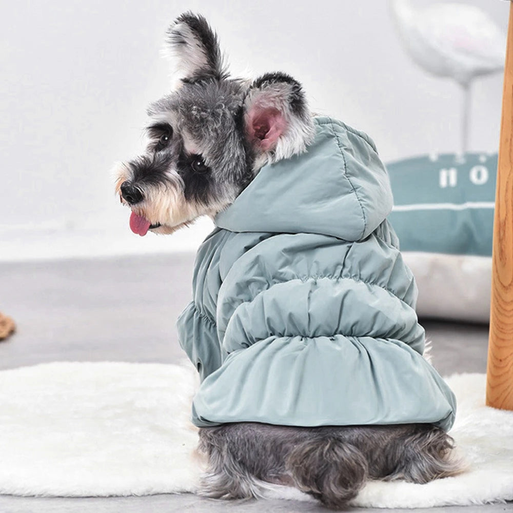 Winter Warm Dog Hoodie with Bubble Dress