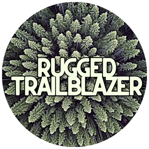 Rugged Trailblazer